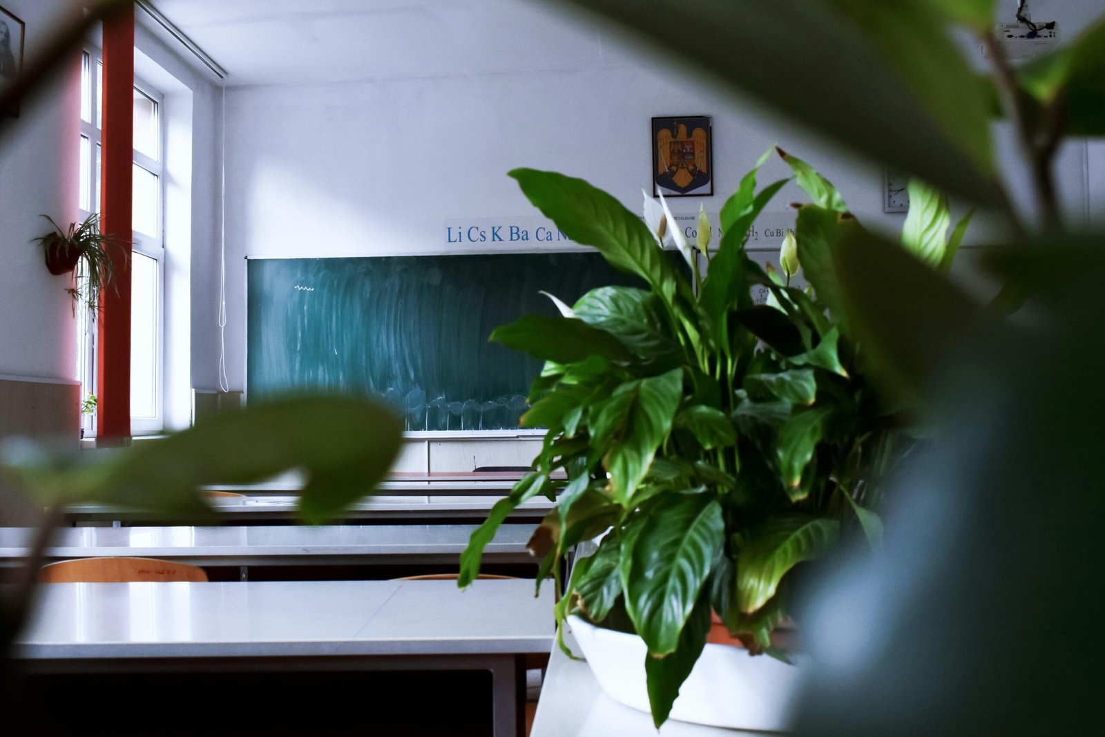 Green Energy Solutions for Schools-1st
